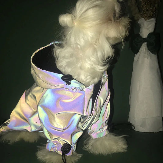 Reflective Safe, Warm Dog Coat Jacket