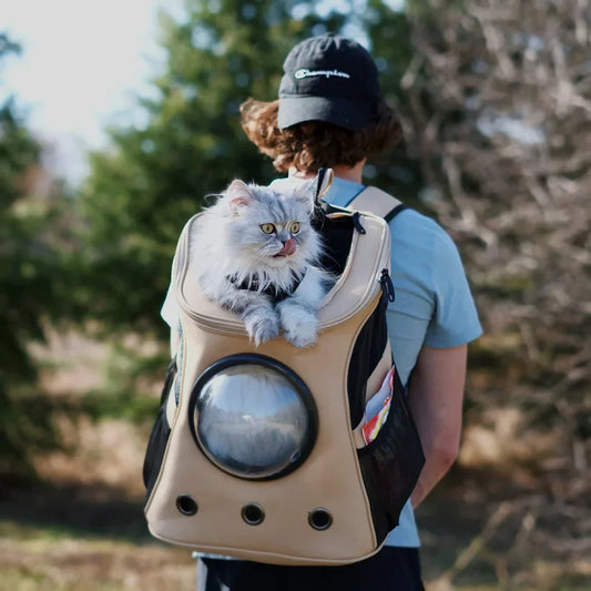 Outdoor Pet Cat Carrier Large Adventure Space Capsule Backpack